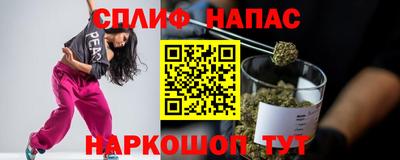 гидра Славгород