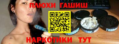 гидра Славгород