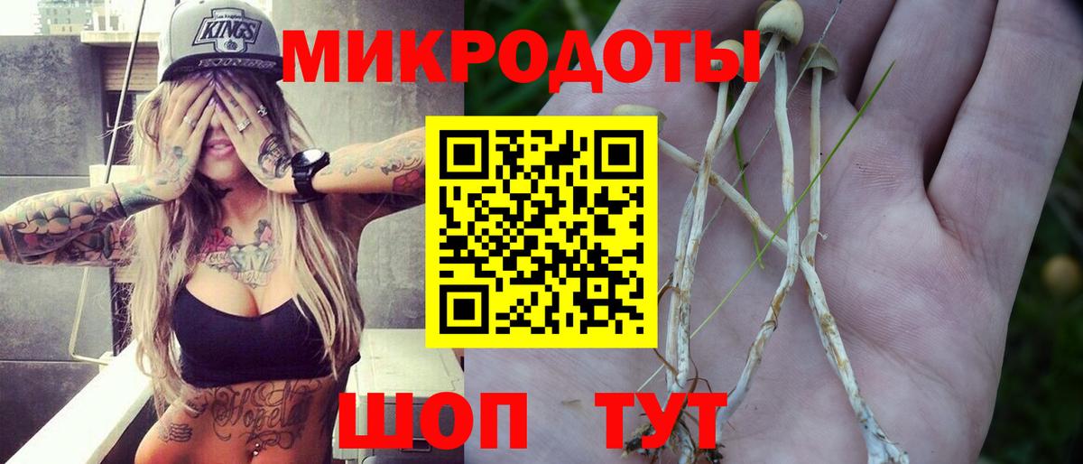 Галлюциногенные грибы Psilocybine cubensis  Вход с VPN  Серпухов 